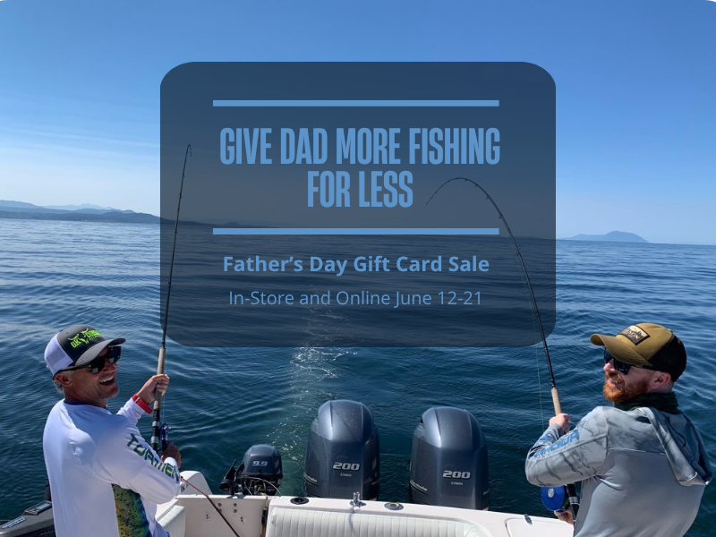 3 32 flick it head fishing lure Buckeye FIBL332 3/32-Ounce Flick-It Jig, Black Finish Sporting Goods TroKars Surgically Sharpened Technology Best Light Tackle Rod Length - Power:7'6''MRC Vicious Standard Green Braid