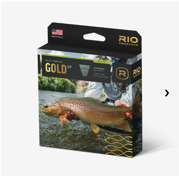 RIO Elite Gold XP