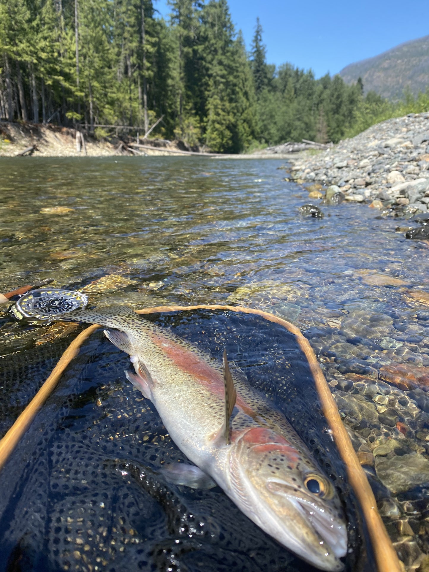Pacific Angler Course: Introduction to Fly Fishing Trout Streams