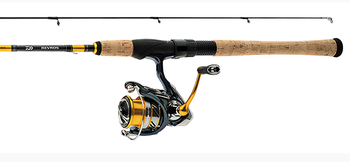 Daiwa Revros LT Spinning Combo - Main Image