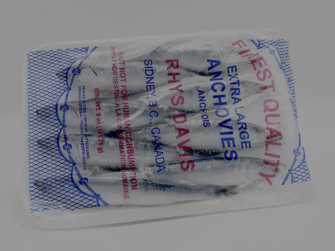 Rhys Davis Anchovies