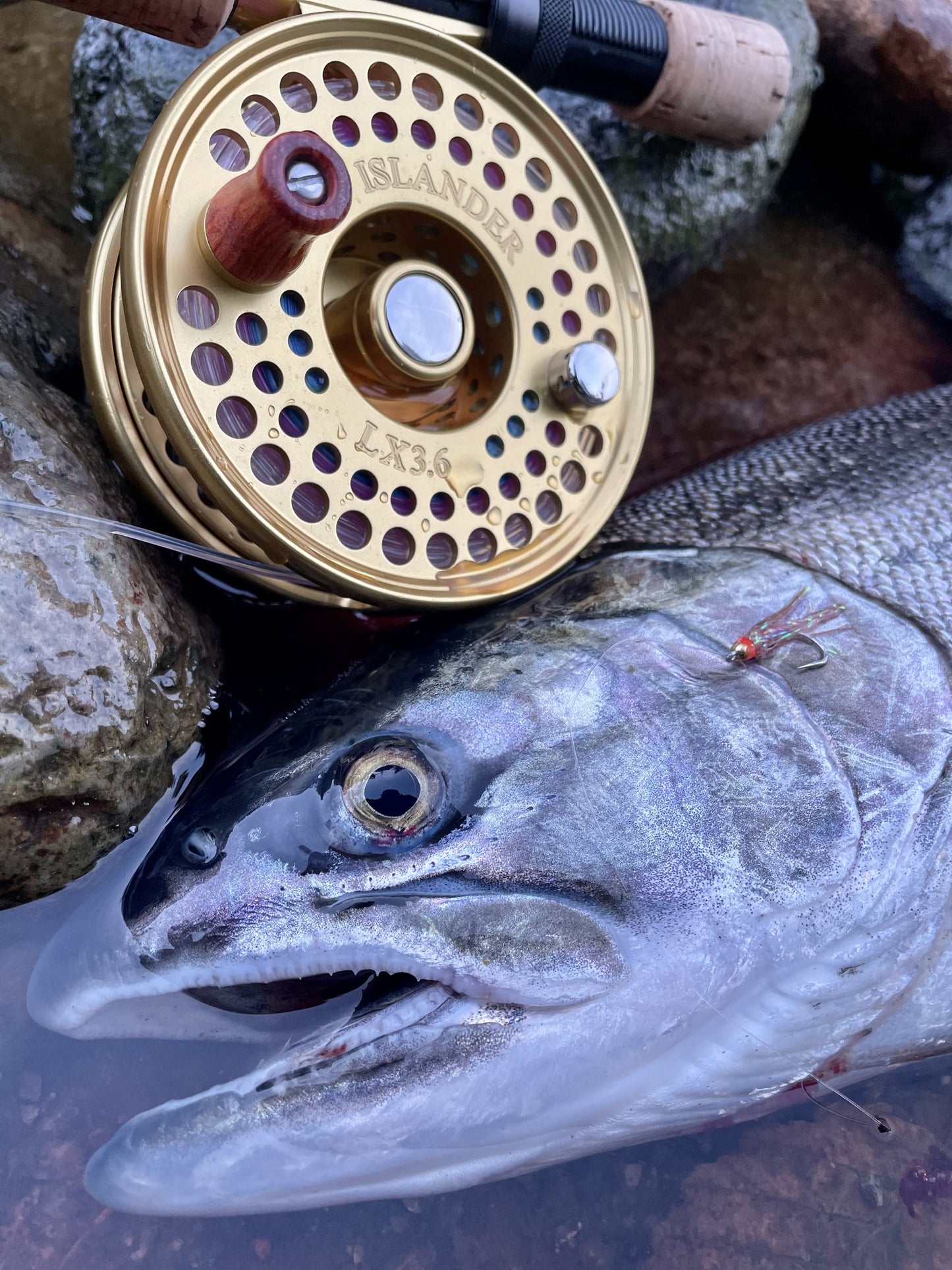 Pacific Angler Course: Fly Fishing for Salmon in Rivers