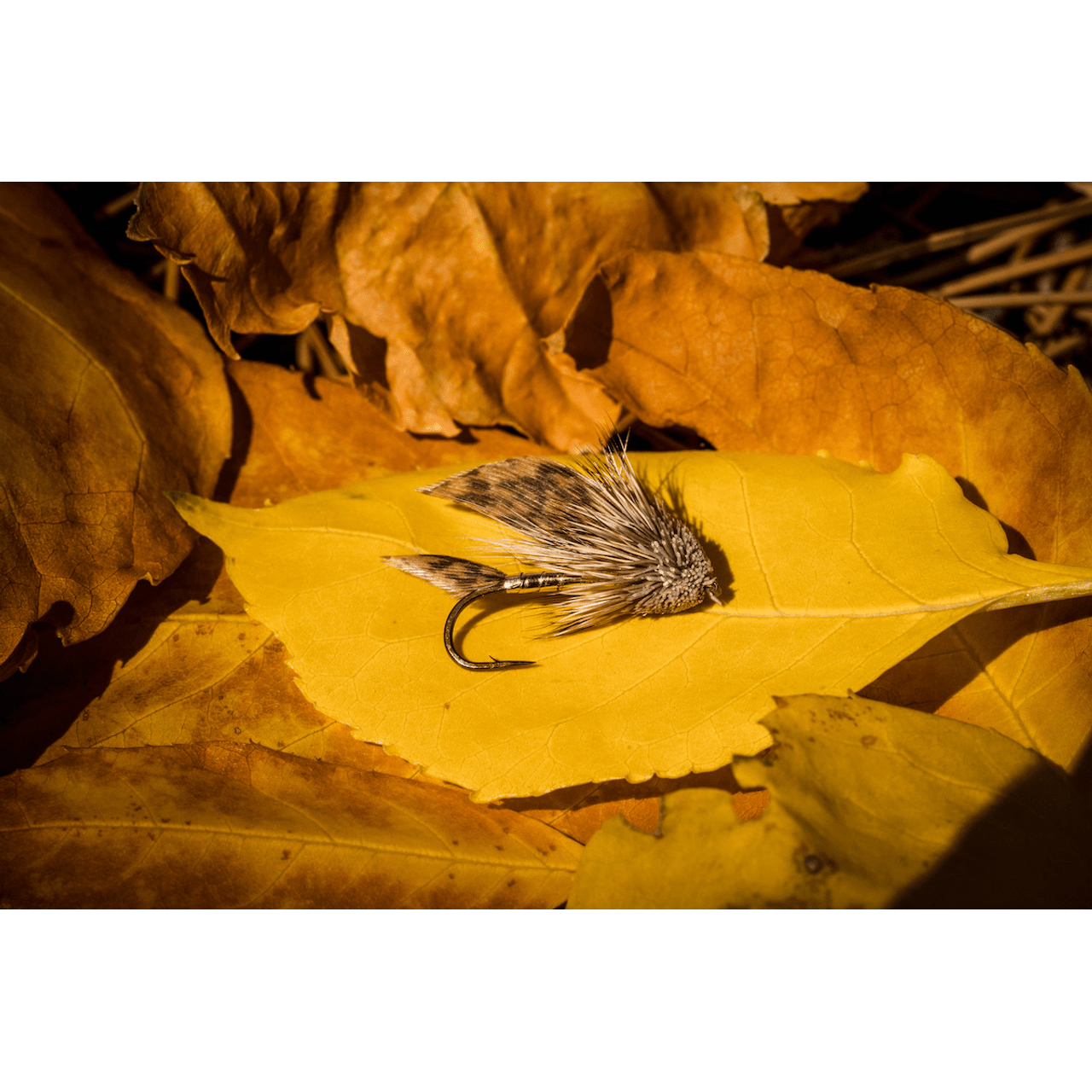 Tiemco TMC 5263 3XL Long-shanked Nymph and Streamer Hook