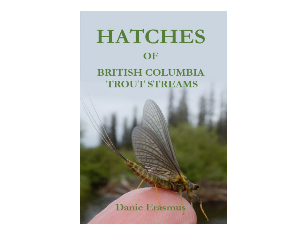 Hatches of British Columbia Trout Streams