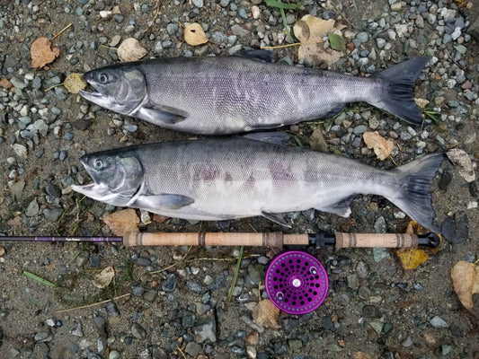Pacific Angler Friday Fishing Report: October 28, 2022