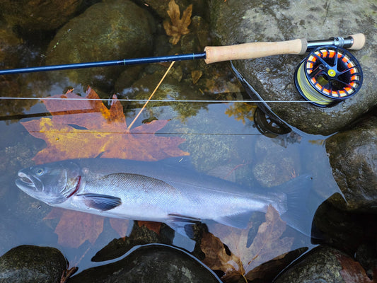Pacific Angler Friday Fishing Report: October 23, 2026