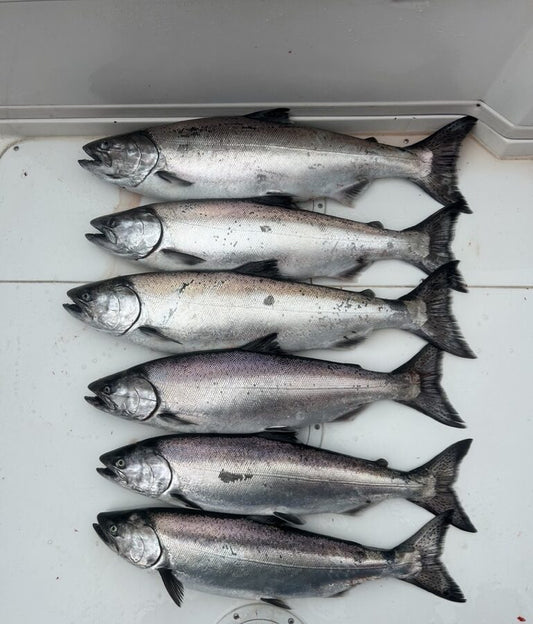 Pacific Angler Friday Fishing Report: February 24, 2023