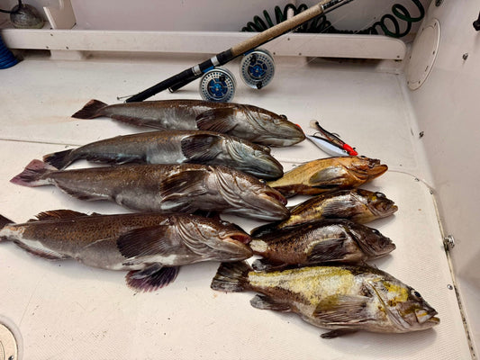 Pacific Angler Friday Fishing Report:  June 12, 2026