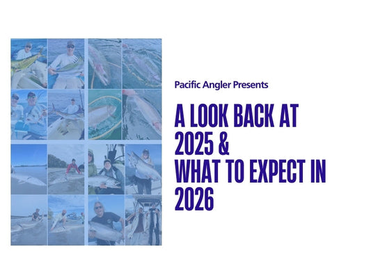 A Look Back At 2025 and What To Expect In 2026