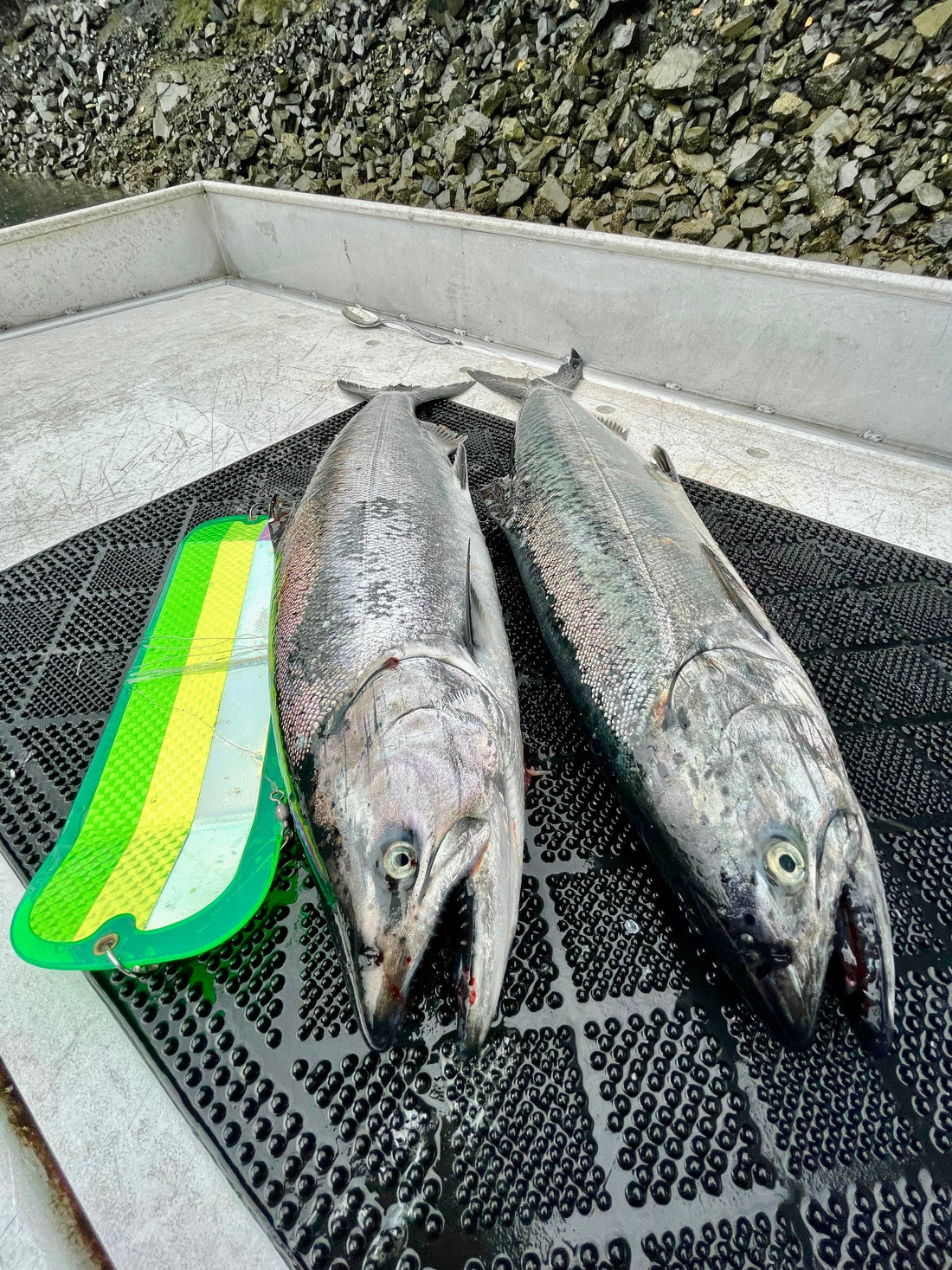 Pacific Angler Friday Fishing Report: October 24, 2025