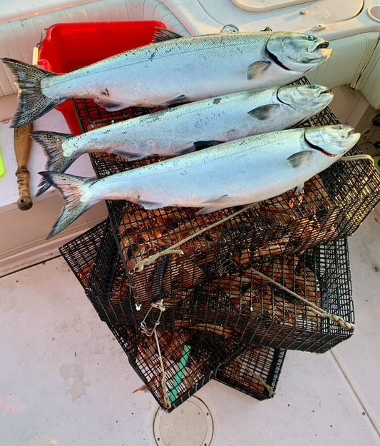 Pacific Angler Friday Fishing Report: December 9, 2022