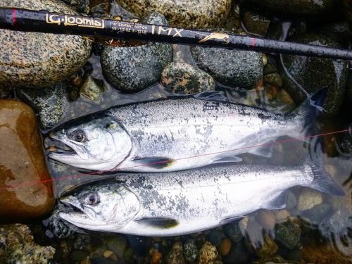 Pacific Angler Friday Fishing Report: November 6, 2020