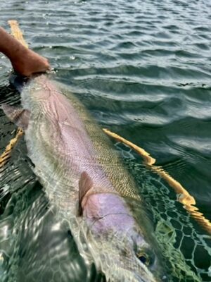 Pacific Angler Friday Fishing Report: May 17, 2024