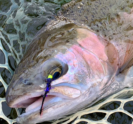 Pacific Angler Friday Fishing Report: April 8, 2022
