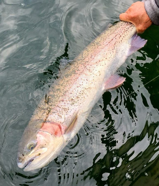 Pacific Angler Friday Fishing Report: June 23, 2023