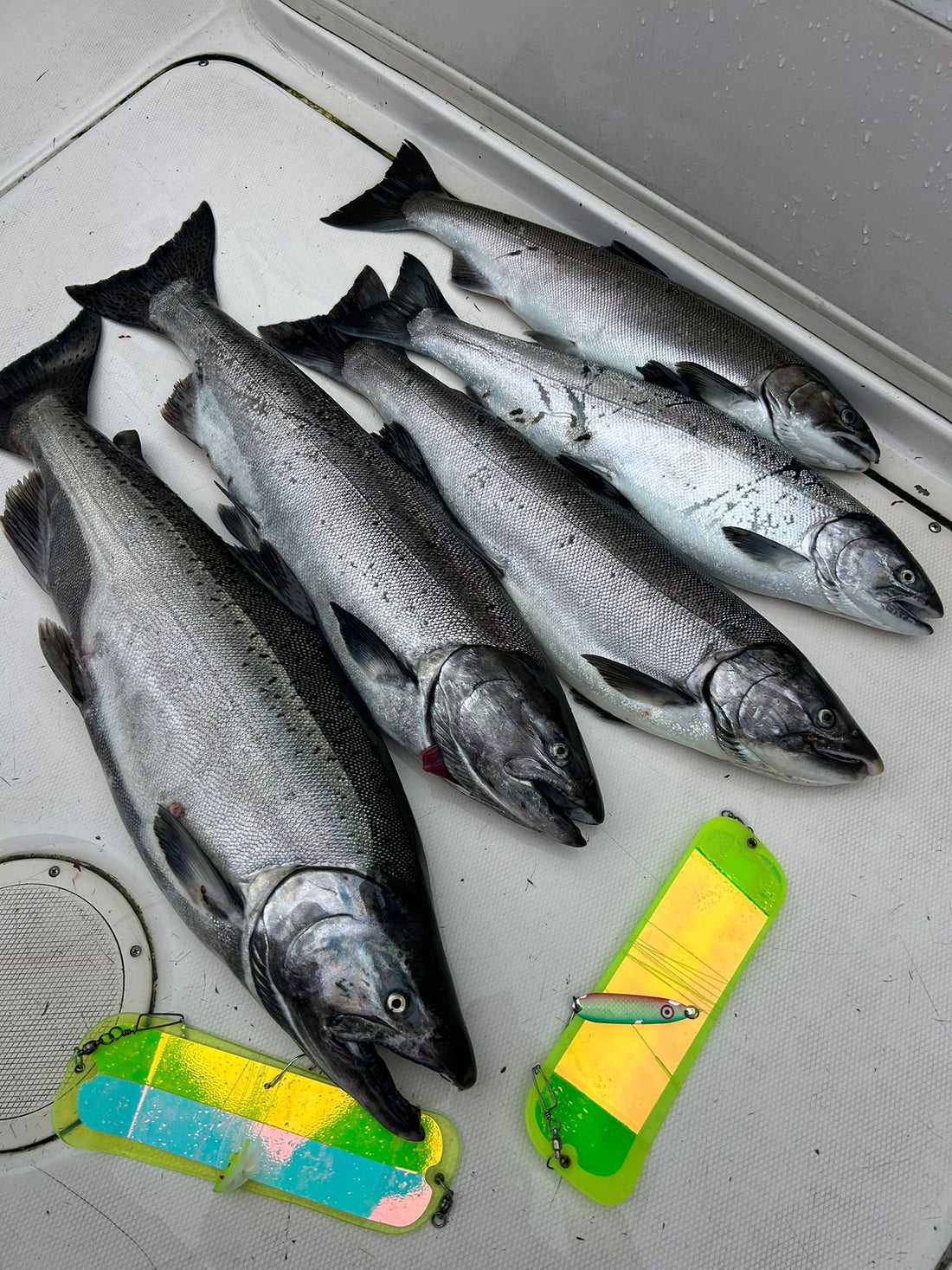Pacific Angler Friday Fishing Report: September 19, 2025
