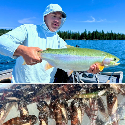 Pacific Angler Friday Fishing Report: May 15, 2026