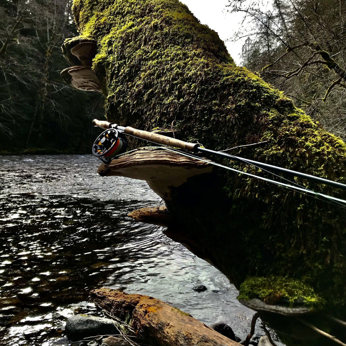 Pacific Angler Friday Fishing Report: March 13, 2026