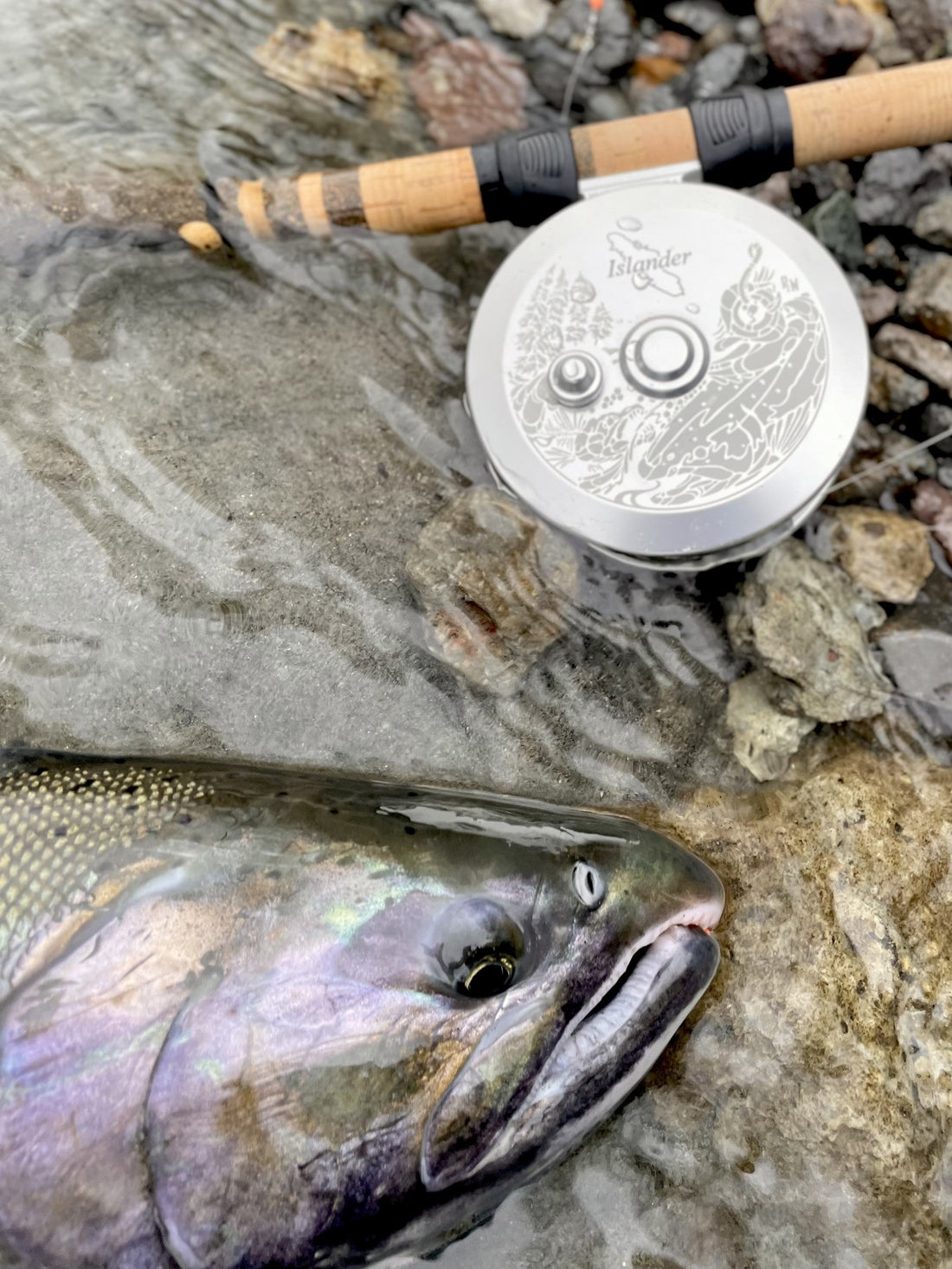 Pacific Angler Friday Fishing Report: November 28, 2025