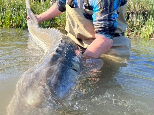 Pacific Angler Friday Fishing Report: June 21, 2024