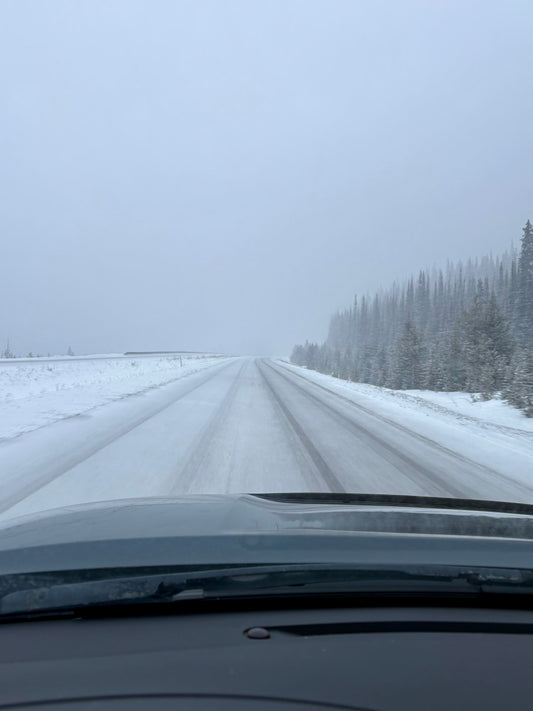 Pacific Angler Friday Fishing Report: April 03, 2026