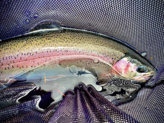 Pacific Angler Friday Fishing Report: July 24, 2020