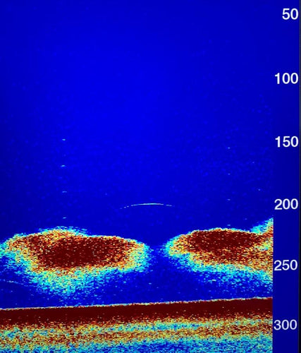 Pacific Angler Friday Fishing Report: December 13, 2019