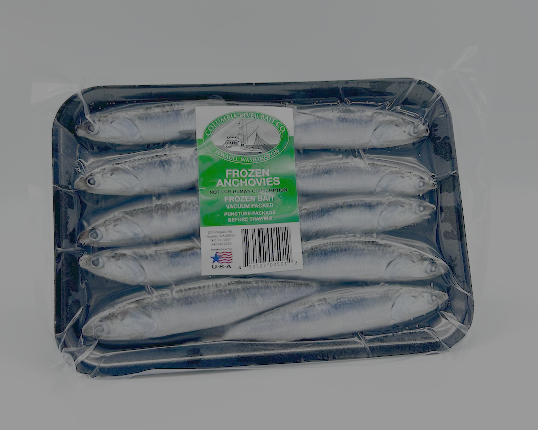 Columbia River Bait Co. Anchovies