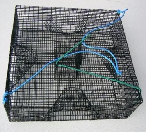 Spot on Traps Rigid Prawn Trap