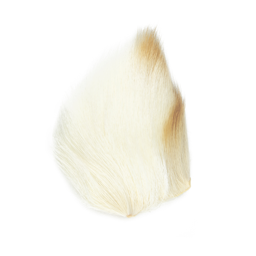 Shor Deer Body Dyed from White