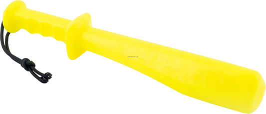 Danielson FBCP Club Fish Billie Plastic