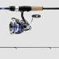 Daiwa Legalis LT Spinning Combo