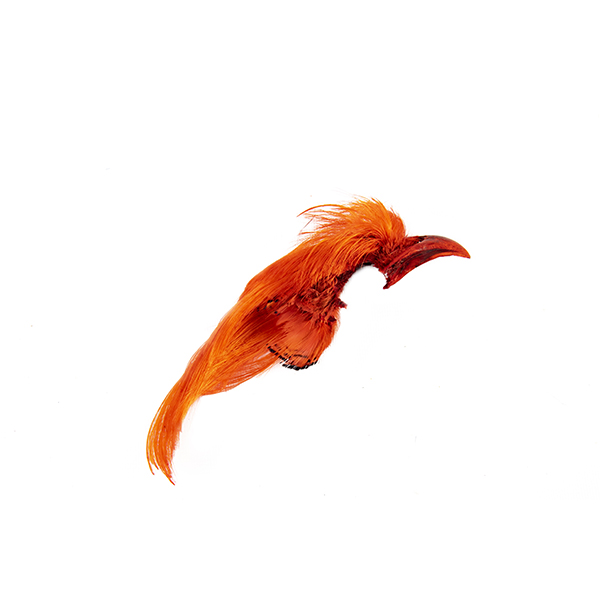Shor Golden Pheasant Crest Dyed