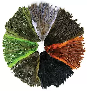 Wapsi Pine Squirrel Zonker