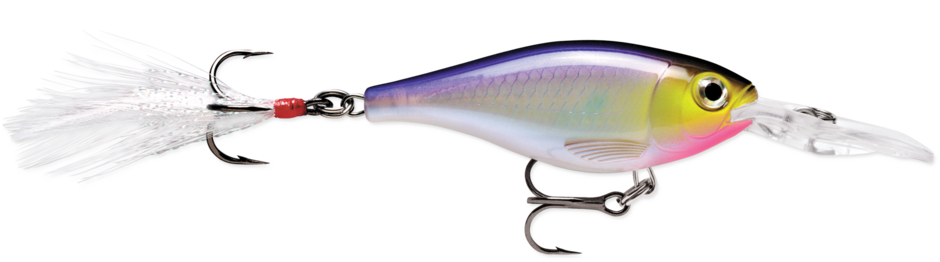 Rapala X-Rap Shad – Pacific Angler