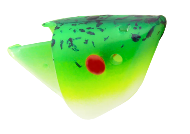 Rhys Davis Anchovy Special Teaser Head - Bulk