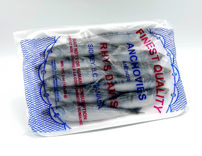 Rhys Davis Anchovies