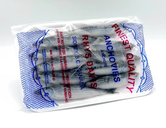 Rhys Davis Anchovies