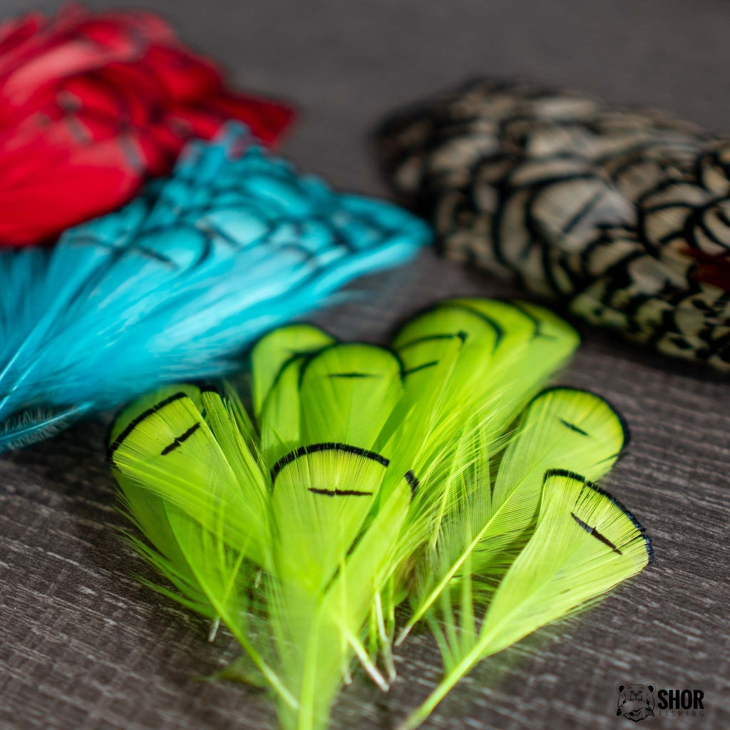 SHOR Lady Amherst Tippet Feathers