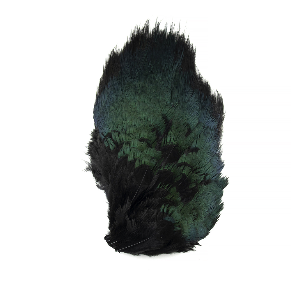 Shor Ring Necked Pheasant Rump Patch – Pacific Angler