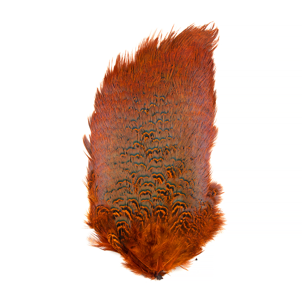 Shor Ring Necked Pheasant Rump Patch – Pacific Angler