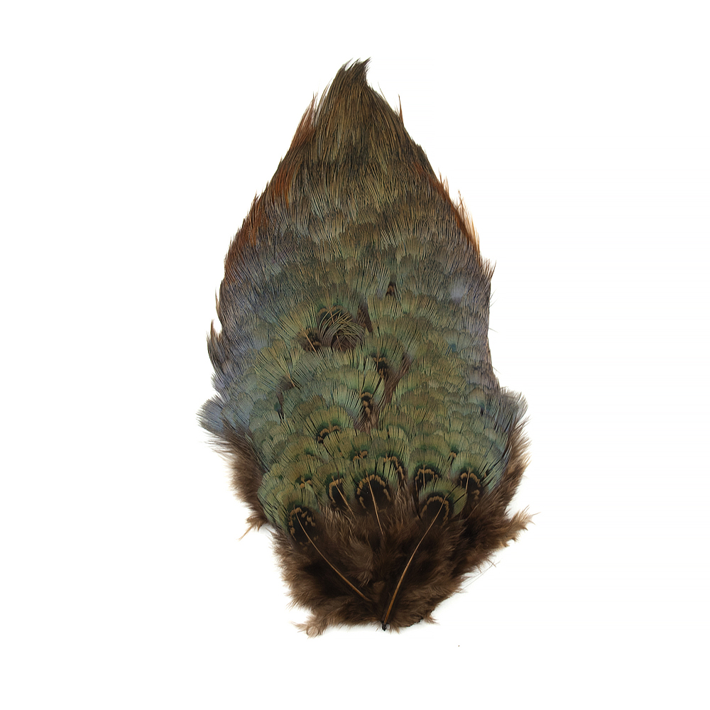 Shor Ring Necked Pheasant Rump Patch – Pacific Angler