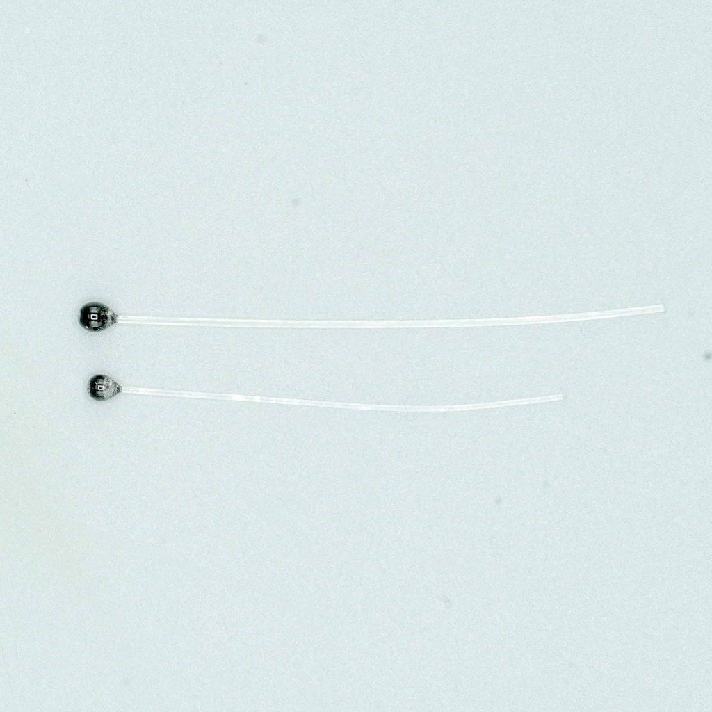 Shor Mono Shrimp Eyes
