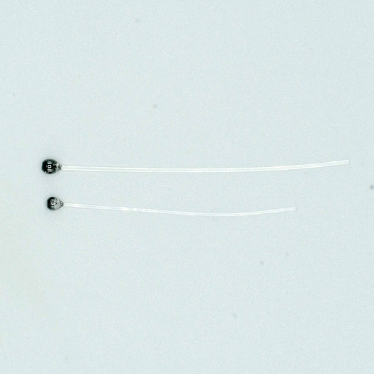 Shor Mono Shrimp Eyes
