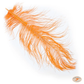 Skeena River Ostrich Spey Feathers