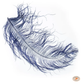 Skeena River Ostrich Spey Feathers