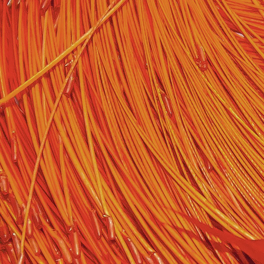 Skeena River “Ultimate Feelers” – Stripped Hackle Quills