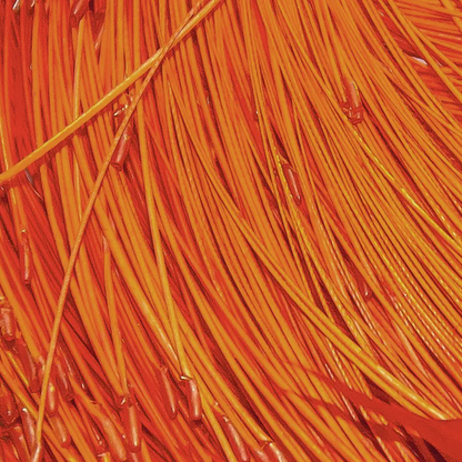Skeena River “Ultimate Feelers” – Stripped Hackle Quills