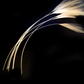 Skeena River “Ultimate Feelers” – Stripped Hackle Quills