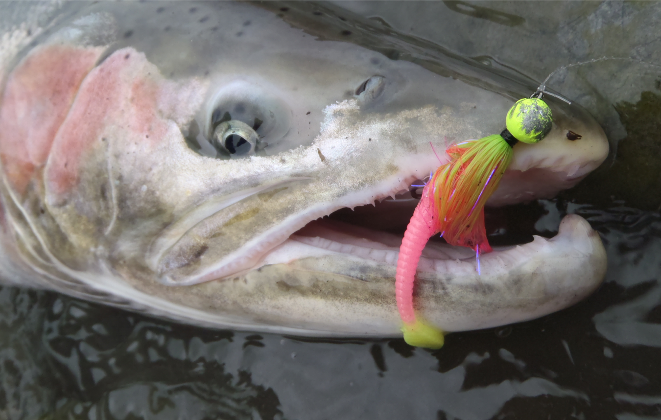 Pacific Angler Course: Steelhead Float Fishing